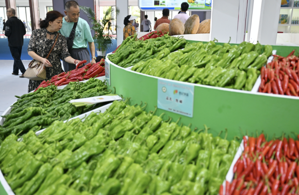 kaiyun体育网页版登录逛菜商场对好多老东说念主来说不仅是购买食材的经过-开云kai(中国)Kaiyun·官方网站 登录入口