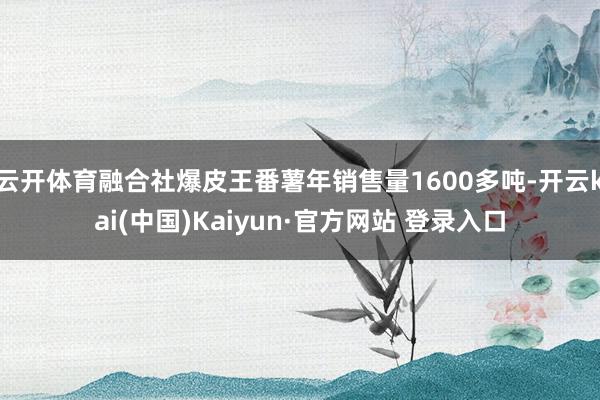 云开体育融合社爆皮王番薯年销售量1600多吨-开云kai(中国)Kaiyun·官方网站 登录入口