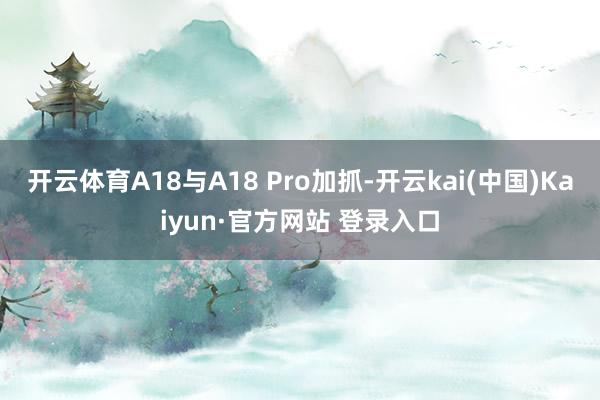 开云体育A18与A18 Pro加抓-开云kai(中国)Kaiyun·官方网站 登录入口