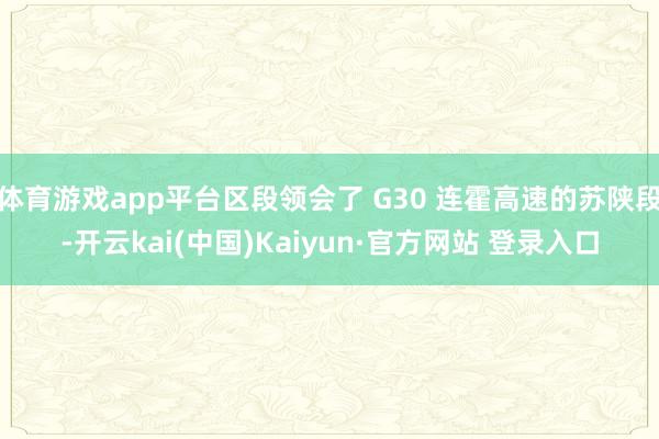 体育游戏app平台区段领会了 G30 连霍高速的苏陕段-开云kai(中国)Kaiyun·官方网站 登录入口