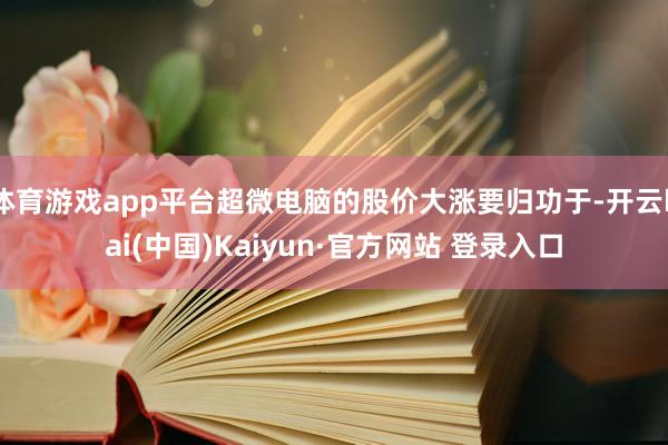 体育游戏app平台超微电脑的股价大涨要归功于-开云kai(中国)Kaiyun·官方网站 登录入口