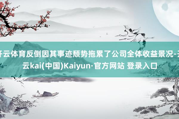 开云体育反倒因其事迹颓势拖累了公司全体收益景况-开云kai(中国)Kaiyun·官方网站 登录入口