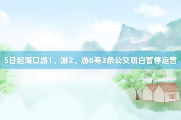 5日起海口游1、游2、游6等3条公交明白暂停运营