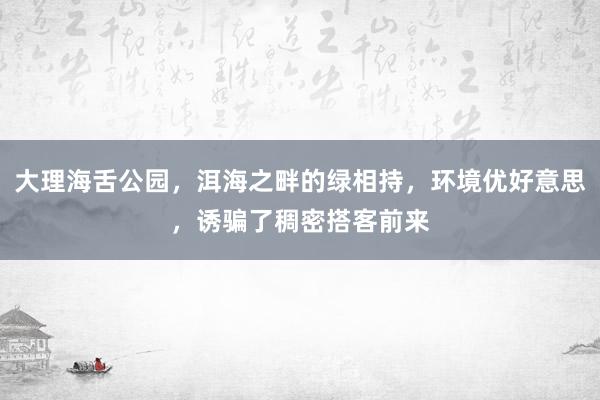 大理海舌公园，洱海之畔的绿相持，环境优好意思，诱骗了稠密搭客前来